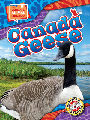 cover image of Canada Geese